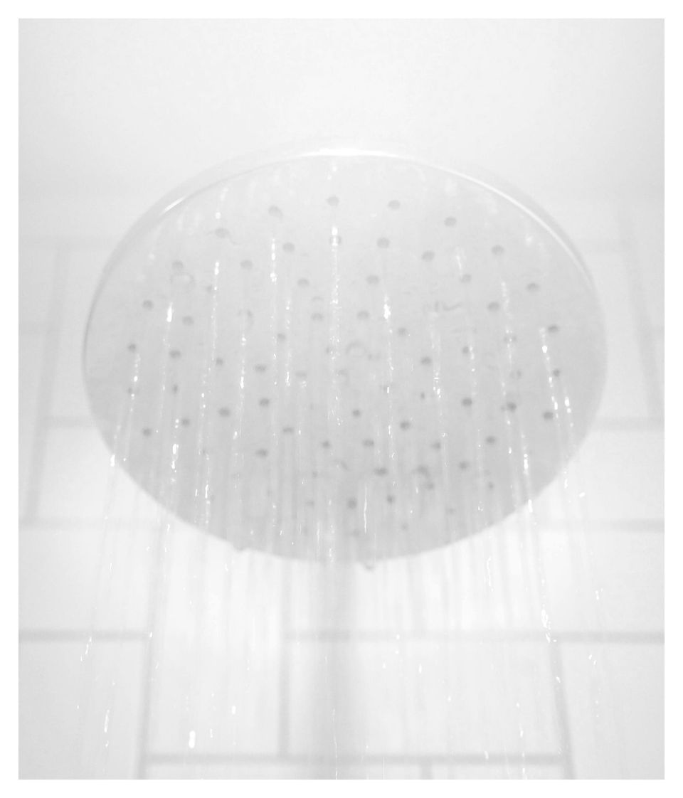 Baños de inmersión
