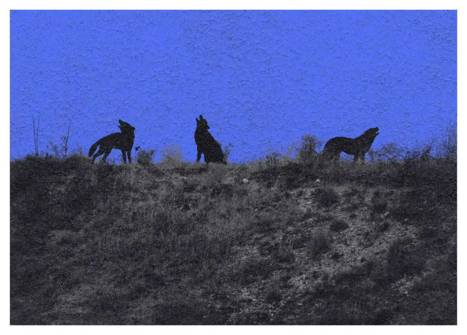 Las bestias que llevamos dentro