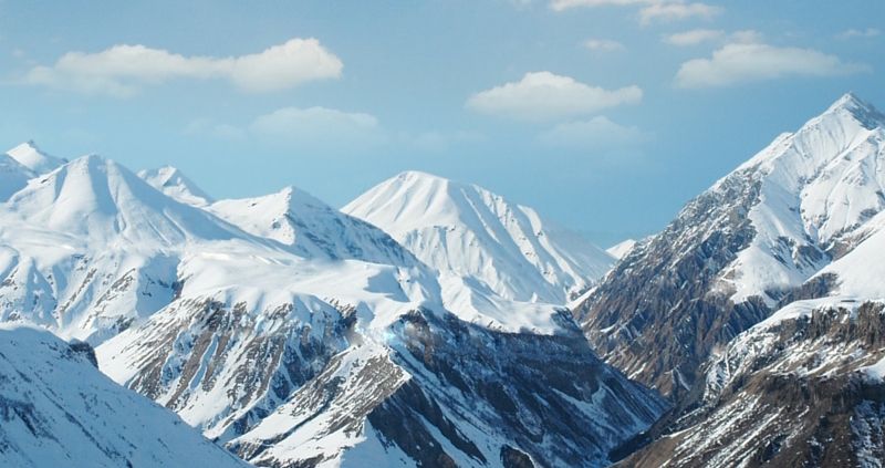 The Shippers - Responders