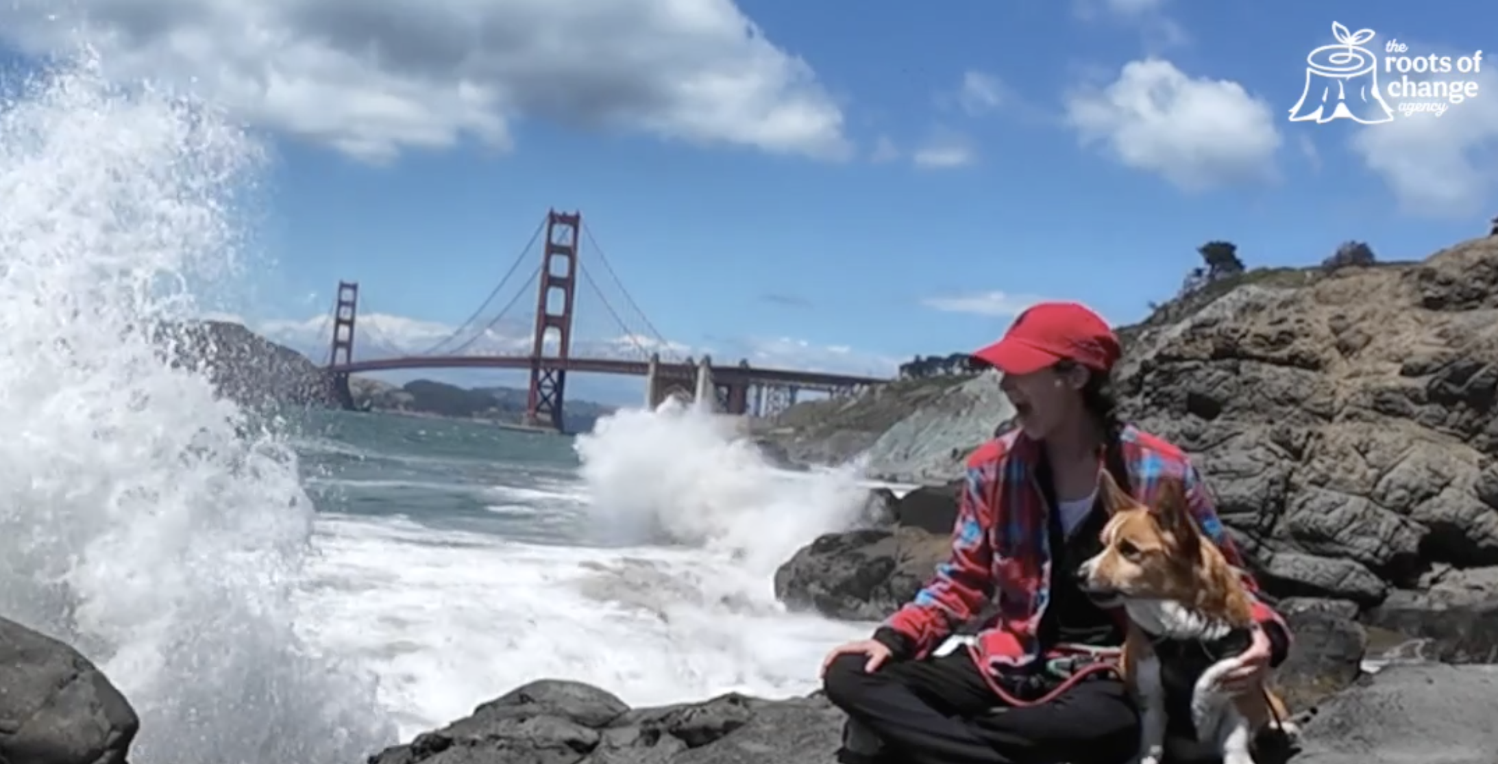 A white wave crashes in over the Golden Gate bridge in the background onto a person in a red hat and red and blue flannel and a orange and white corgi who's barking at the waves