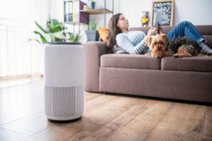 5+ Best Air Purifier for Weed Smoke