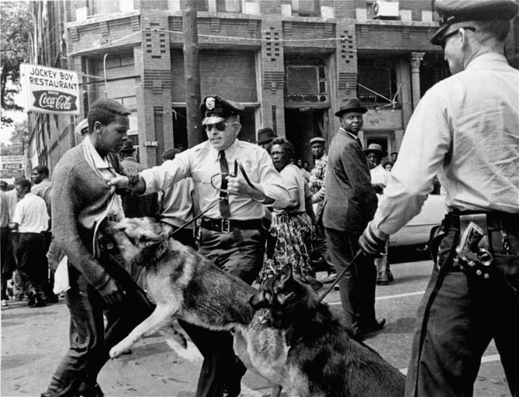 rotest observer (Walter Gadsden, 17) in Birmingham, Alabama, USA, on 3 May 1963, being attacked by police dogs during a civil rights protest. (Bill Hudson/AP)