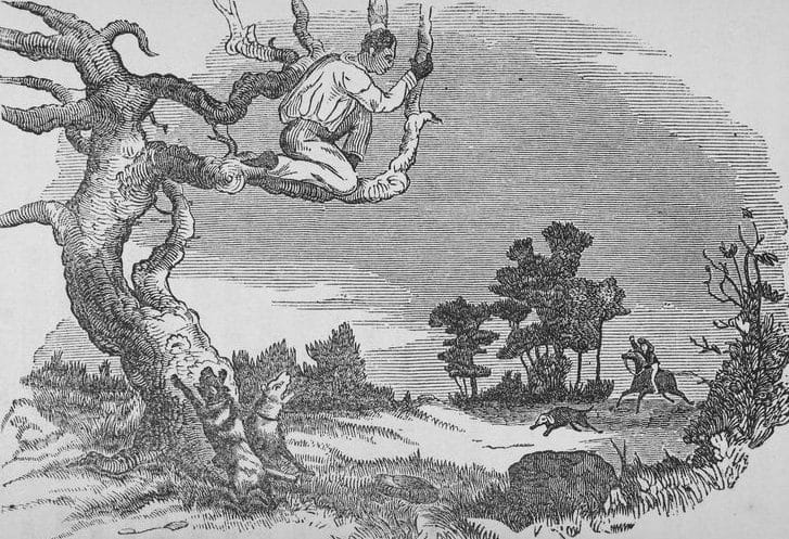 An engraving of a Black man trying to escape the jaws of two bloodhounds at the foot of a tree he has climbed to avoid attack.