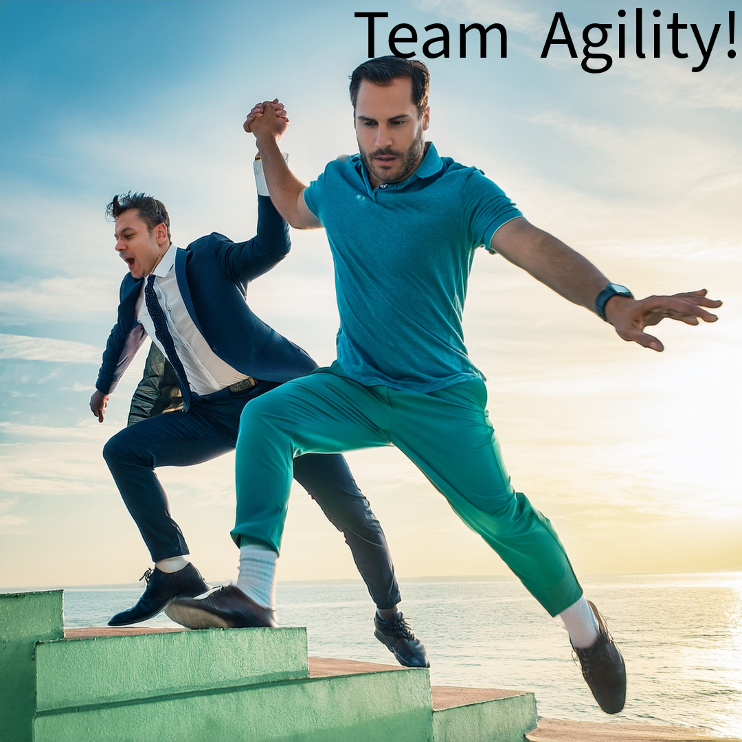 Team Agility and Leadership: Keys to Organizational Success