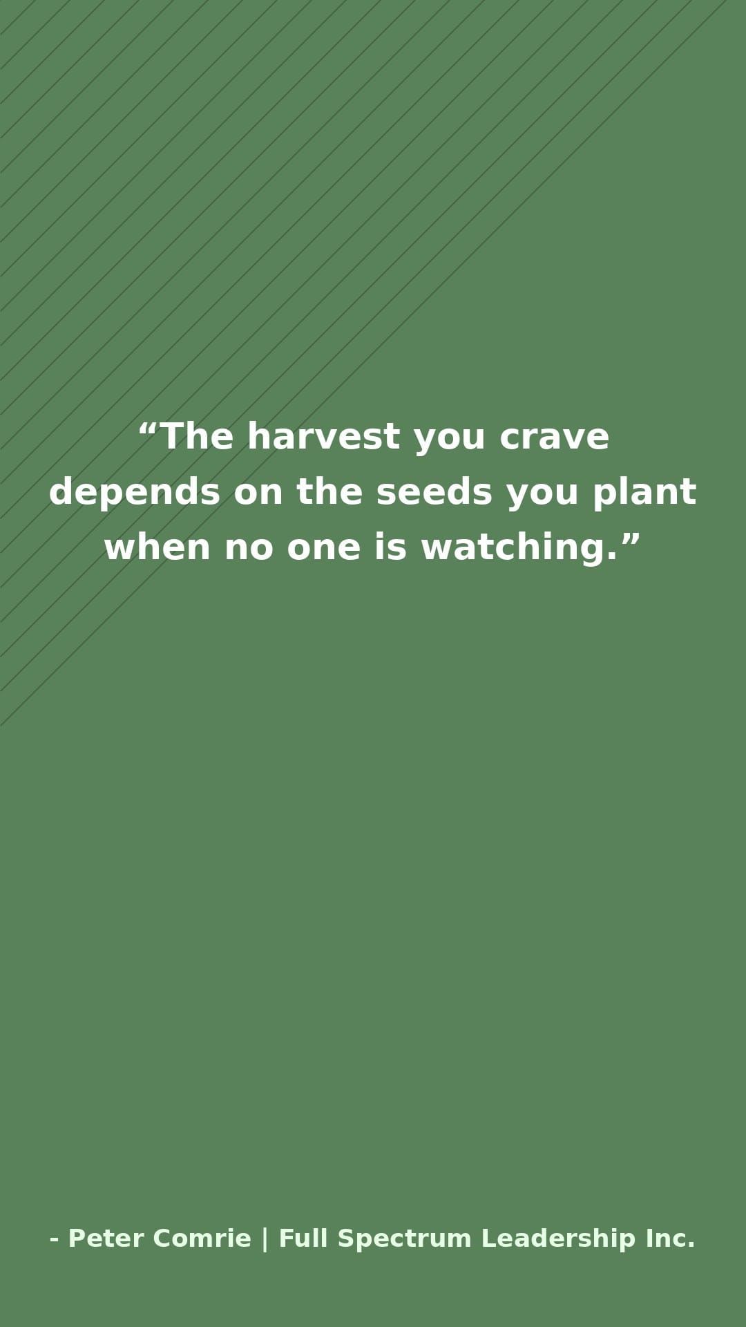 Seed vs. Harvest Thinking
