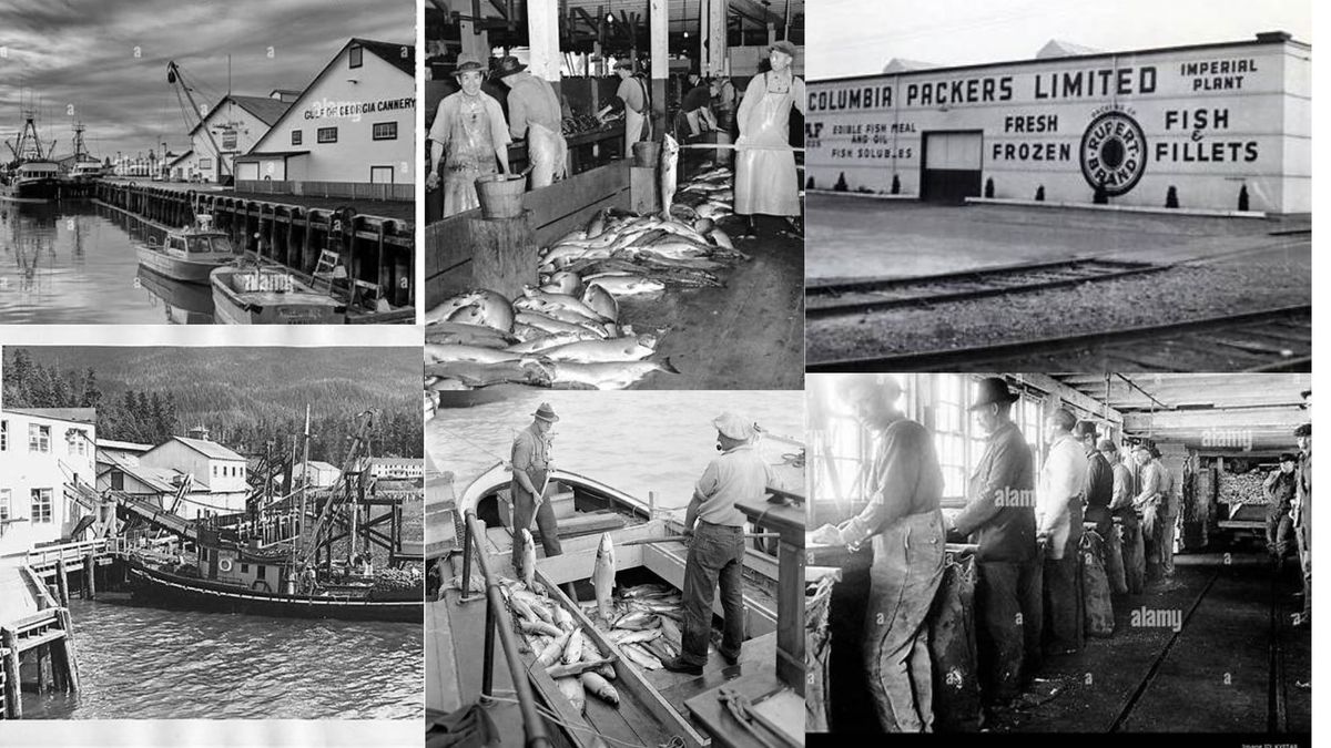 The Rise of Cannery Row: The Peak of Fish Packing Plants