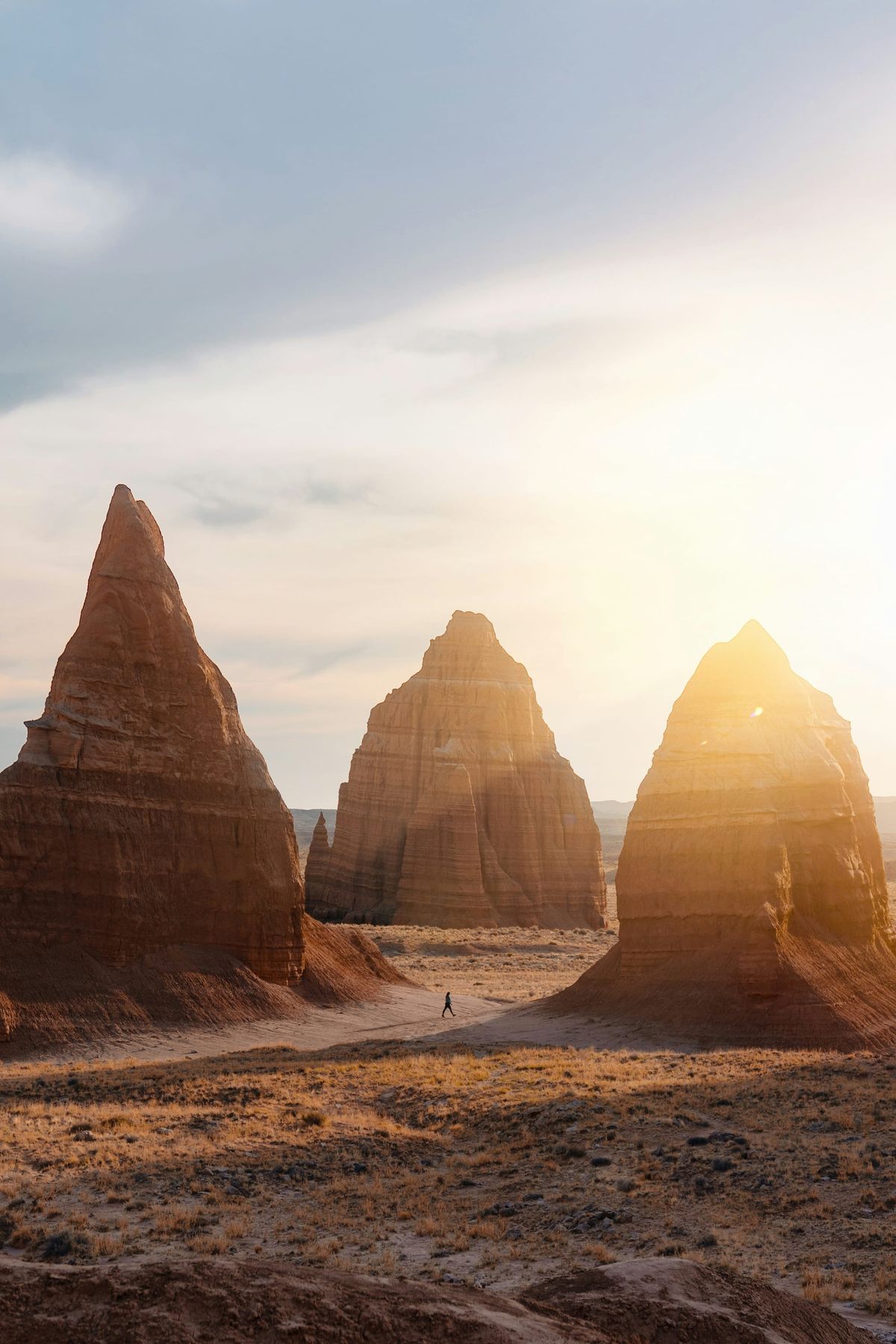 ☀️ The Sunshine Hormone: How Vitamin D Fuels Business Brains