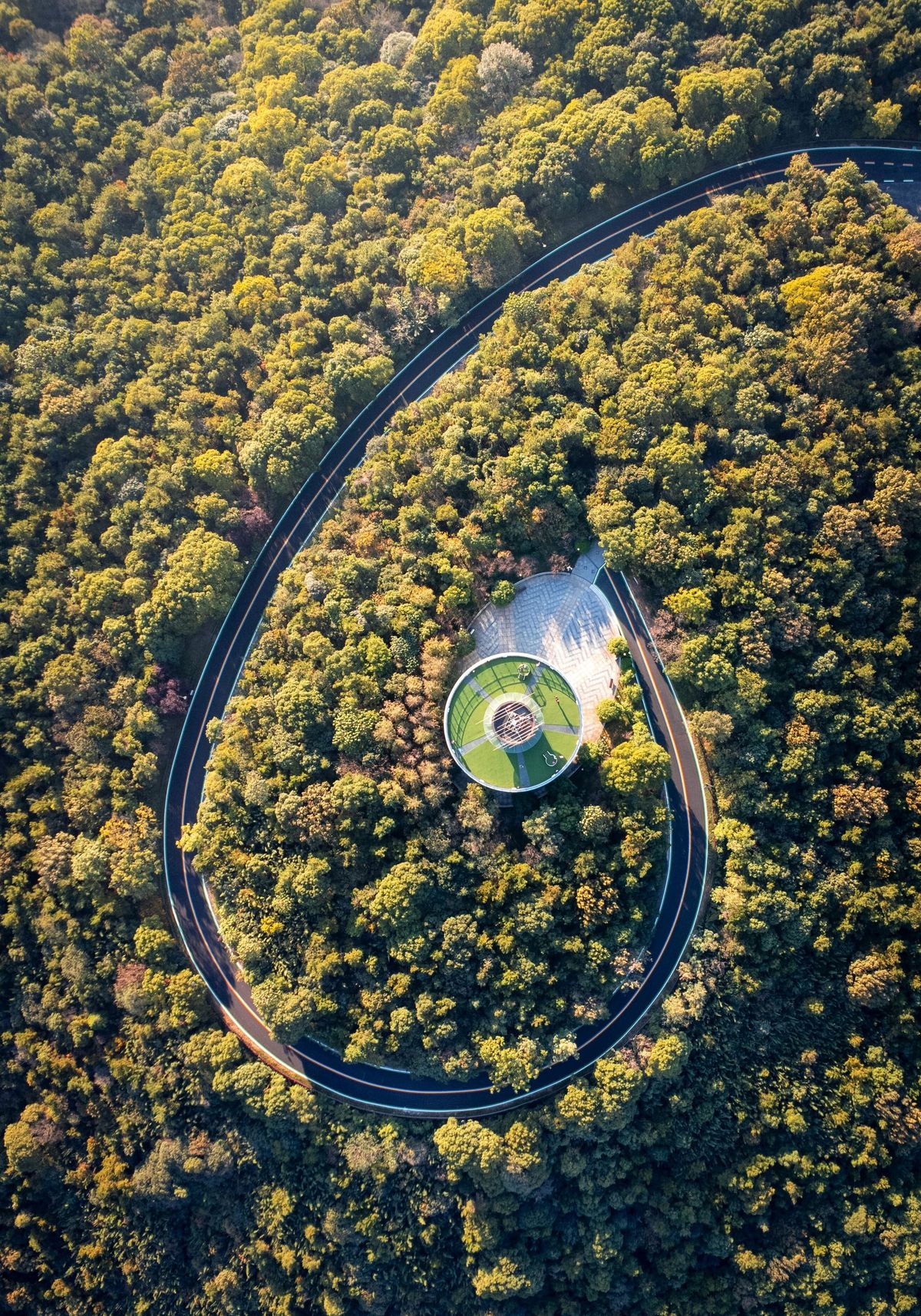 💡 Your Body Speaks Light: The Healing Power of Biophotons