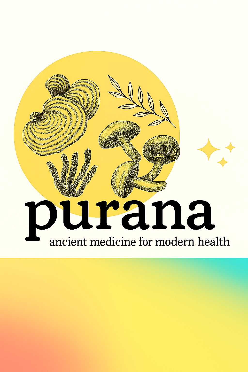 The Truth About Mushroom Extracts: A Deep Dive into Fruiting Bodies, Mycelium, and Medicinal Potency Part 3