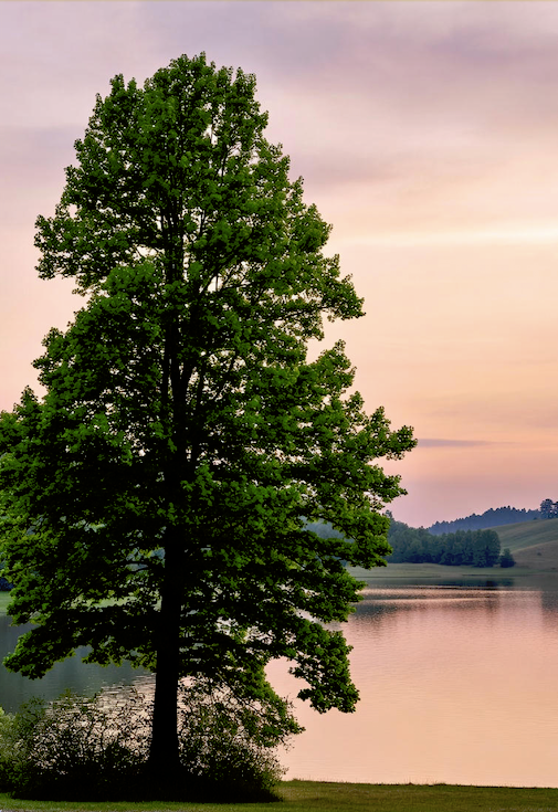 The Surprising Root Of Confidence