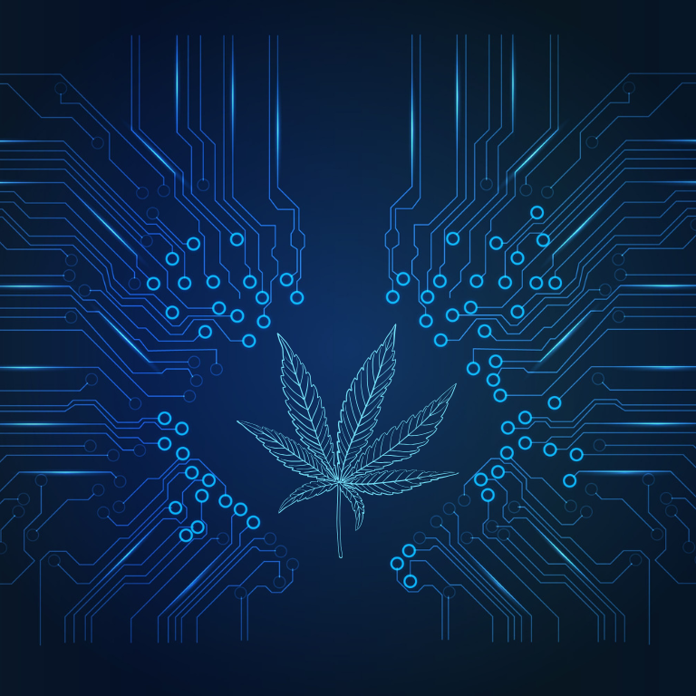 Why Cannabis Companies Must Take Cybersecurity Seriously Now