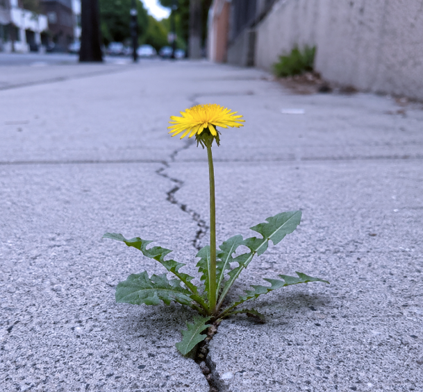 Nature Doesn't Debate Reality