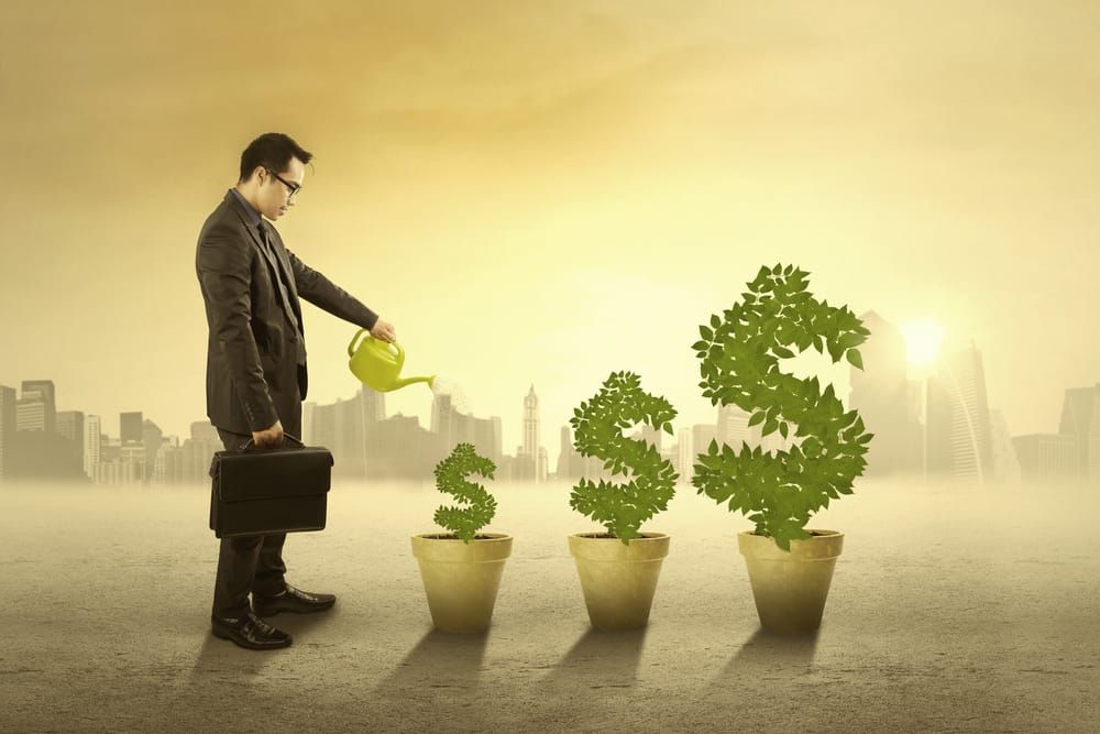 Building a Cash Cow: The Philosophy Behind Sustainable Profit