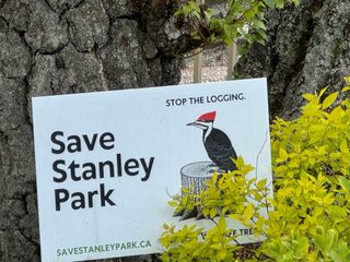 Safeguarding Stanley Park: Navigating the Balance Between Conservation and Public Safety