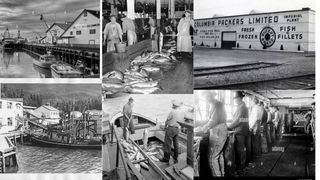The Rise of Cannery Row: The Peak of Fish Packing Plants