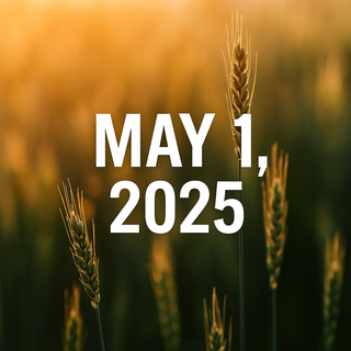 5 @ 5 @ 5 – May 01, 2025: Tariffs, Tech, and Turbulence Hit Small Business Hard