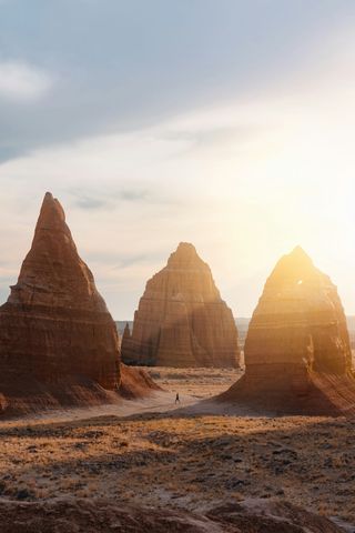 ☀️ The Sunshine Hormone: How Vitamin D Fuels Business Brains