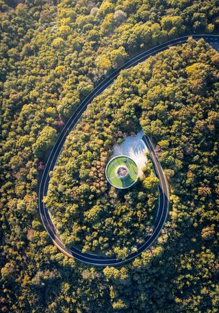 💡 Your Body Speaks Light: The Healing Power of Biophotons