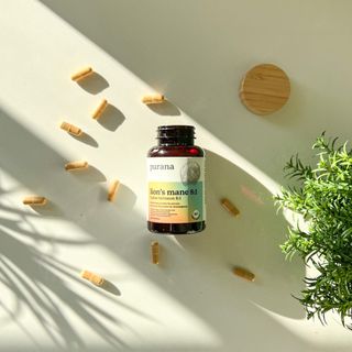 The Forms and Fractions of Lion’s Mane - Part 2