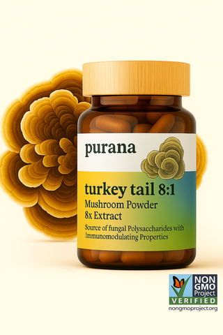 Turkey Tail: Nature's Multitasker for Gut, Lung, and Super Immune Health Part 4