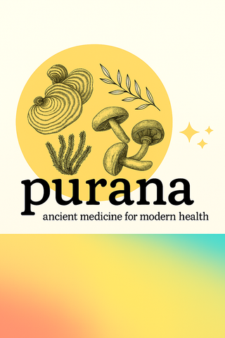 The Truth About Mushroom Extracts: A Deep Dive into Fruiting Bodies, Mycelium, and Medicinal Potency Part 1