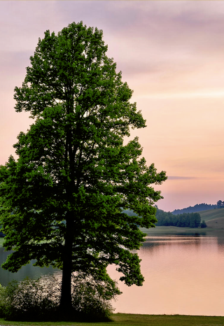 The Surprising Root Of Confidence