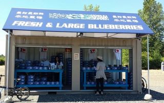 History of BC Land Crisis: Property Rights in Jeopardy