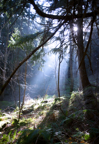 The Gift Most Of Us Squander