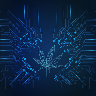 Why Cannabis Companies Must Take Cybersecurity Seriously Now
