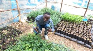 Climate Pressure Mounts in Kenya’s Refugee Heartland