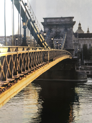 Danube Dispatches No. 5: The Digital State