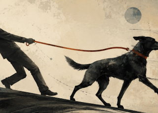 Is The Dog Walking Us?
