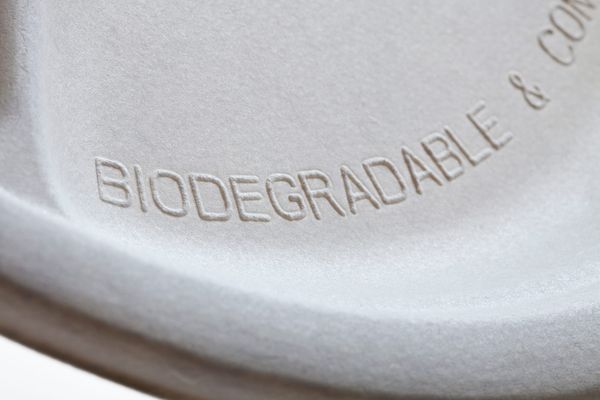 Tips for eco-friendly design.