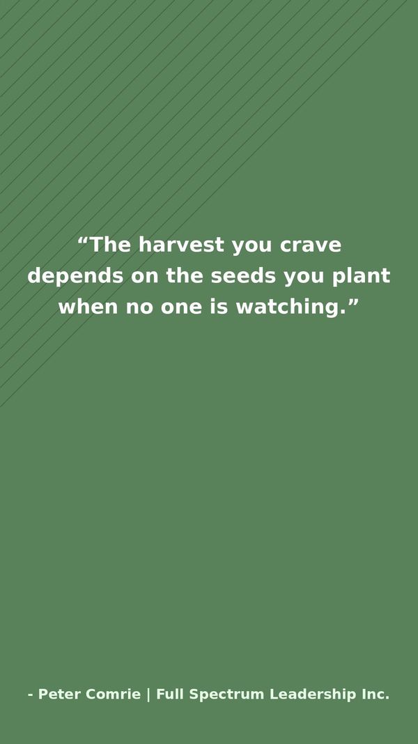 Seed vs. Harvest Thinking