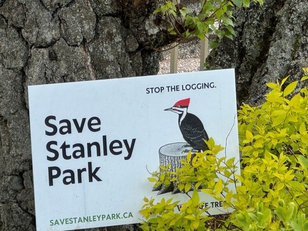 Safeguarding Stanley Park: Navigating the Balance Between Conservation and Public Safety