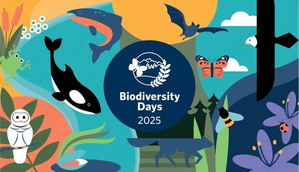 UBC’s Biodiversity Days Celebrations in May