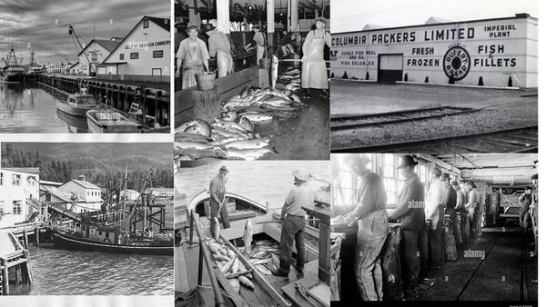 The Rise of Cannery Row: The Peak of Fish Packing Plants