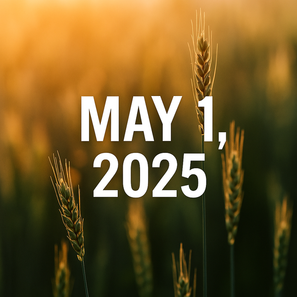 5 @ 5 @ 5 – May 01, 2025: Tariffs, Tech, and Turbulence Hit Small Business Hard
