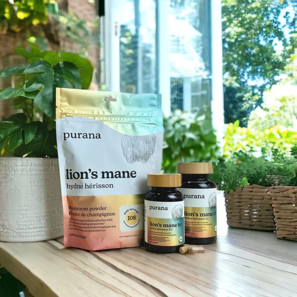 The Forms and Fractions of Lion’s Mane - Part 4