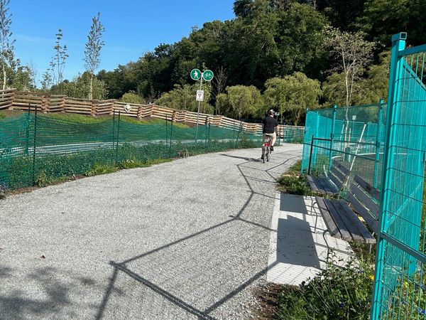 When a Bike Path Becomes a Comedy of Chaos