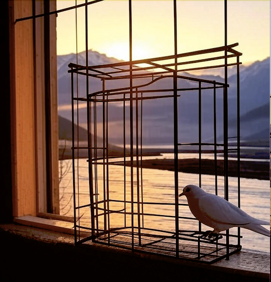 Why Freedom Needs A Cage