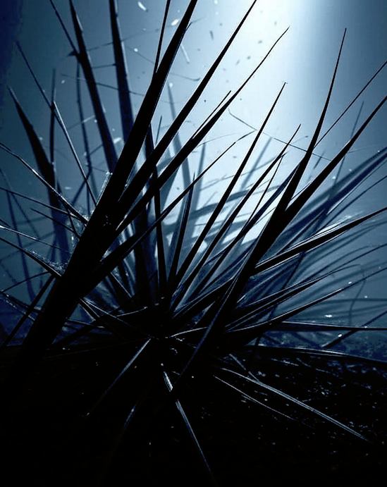 Where There’s Tension, There’s Truth