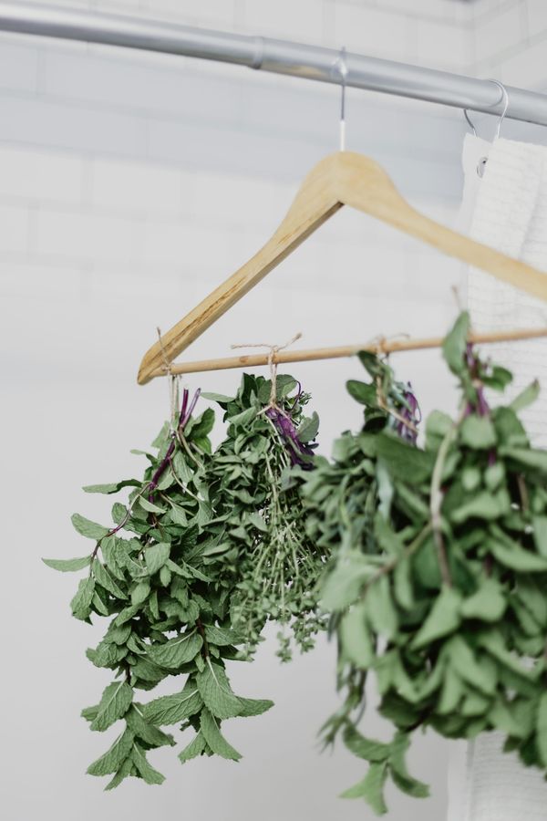 🌿 Cool From the Inside Out: Summer Herbs That Heal