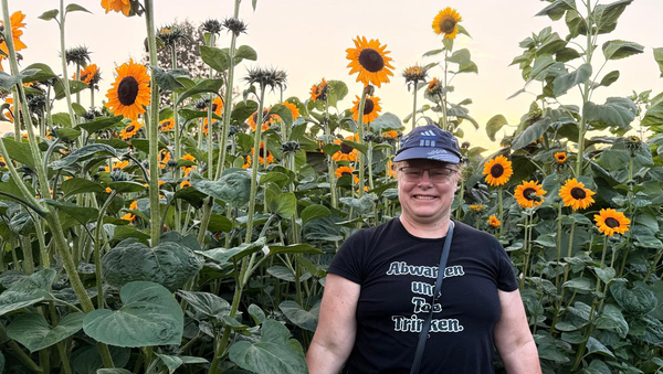 Richmond's Golden Sunflower Festival Magic