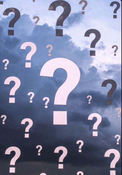 Wired (And Why) To Question Anything