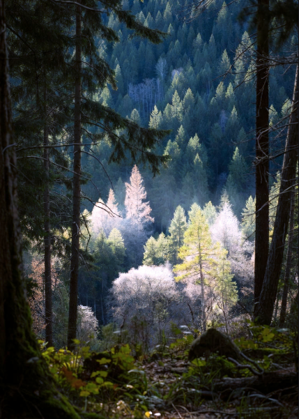 3 Intelligences Defining The Future