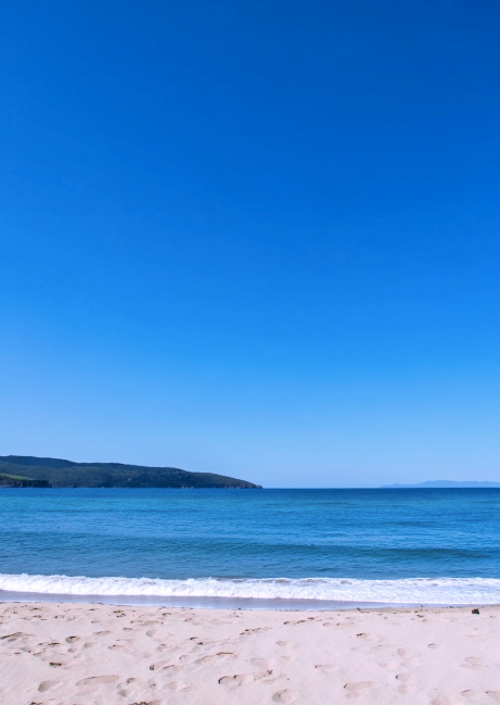 Simplicity Wins (And Wins And Wins)