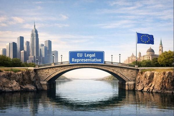 The First Warning Came Long Ago. Non-EU Companies Still Didn’t Listen