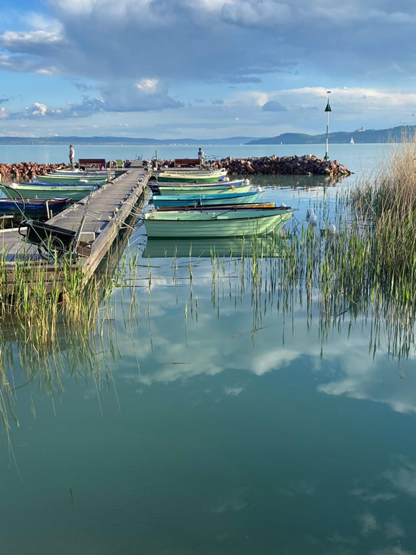 Danube Dispatches No. 9: The Water Question — Why Hungary's Greatest Strategic Asset Risks Becoming Its Most Neglected