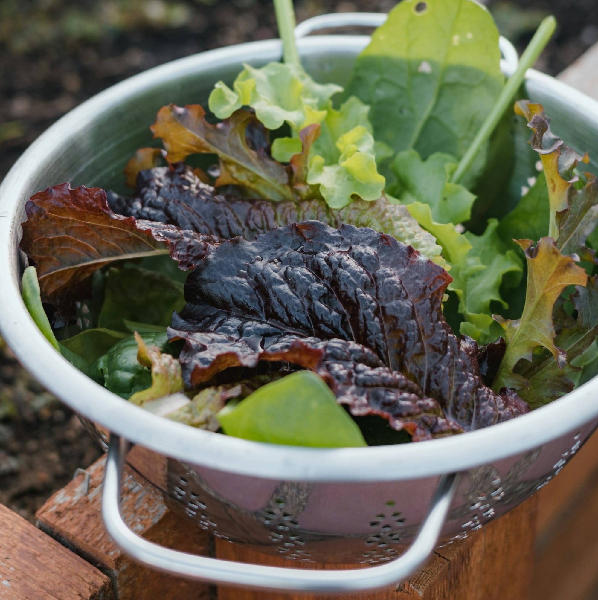 a bowl of food